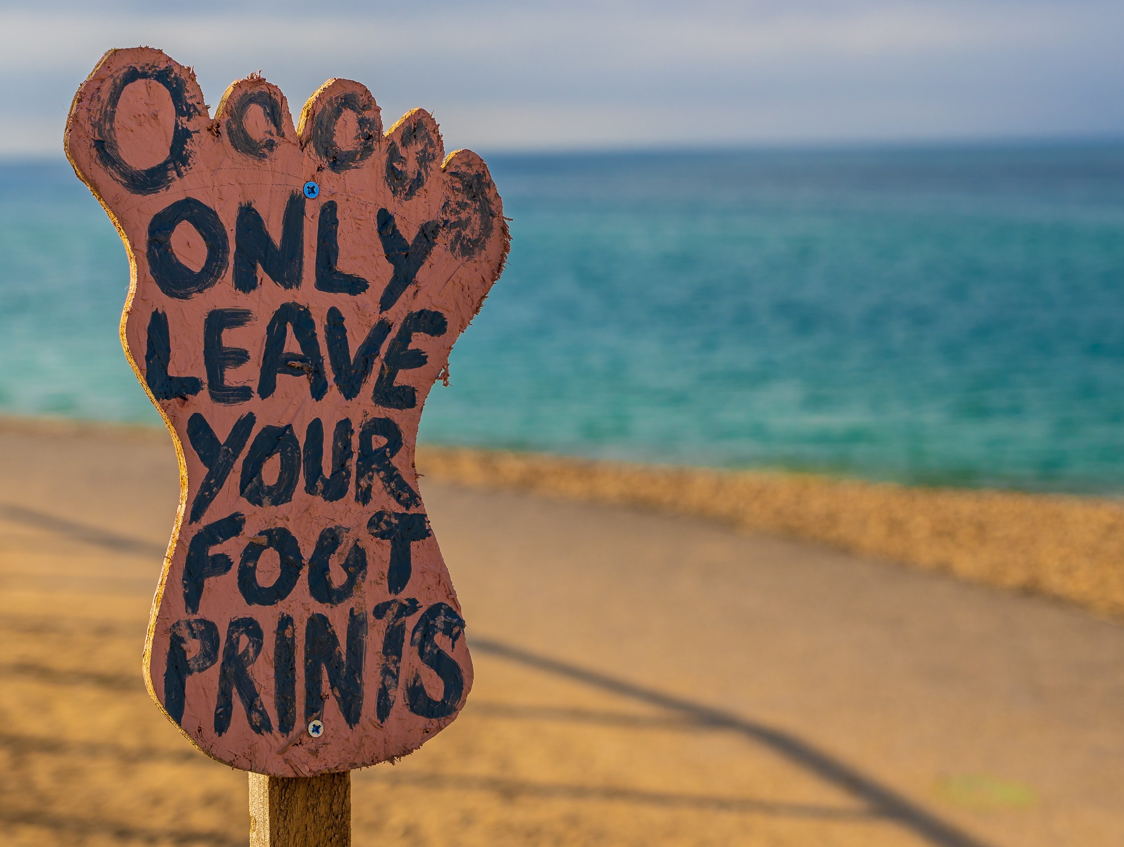 nick-fewings-4dI5OP2Ee64-unsplash